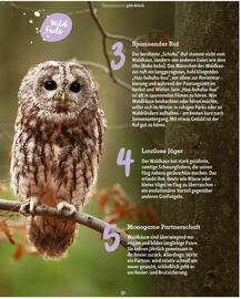 Fressnapf Flugblatt Seite 37