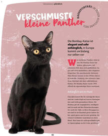 Fressnapf Flugblatt Seite 42