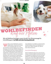 Fressnapf Flugblatt Seite 48