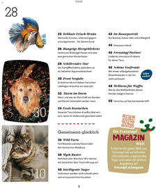 Fressnapf Flugblatt Seite 5