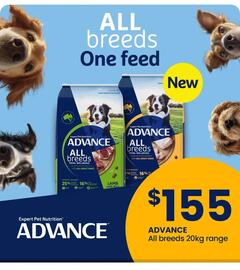 Pet stock catalogue Page 2