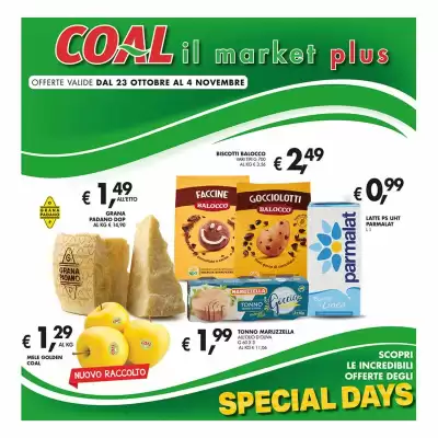 Volantino Maxi Coal (valido fino al 4-11)