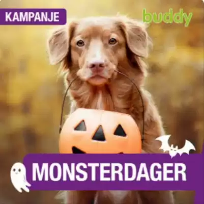 Buddy kundeavis (gyldig til 1-11)