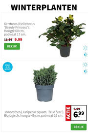 Intratuin folder week 45 Pagina 2