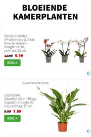 Intratuin folder week 45 Pagina 3