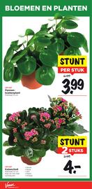 Vomar Voordeelmarkt folder week 45 Pagina 31