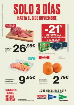 Catálogo El Corte Inglés (válido hasta el 3-11)