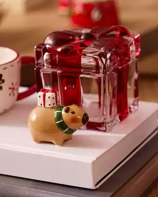 Catálogo Camicado (válido até 30-11)