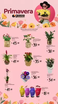 Encarte Giassi Supermercados (válido até 6-11)