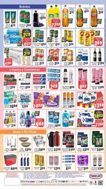 Folheto Panelão Página 4