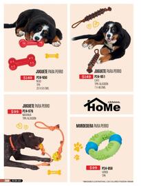 Catálogo Cklass Página 252