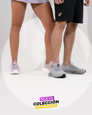 Catálogo Evacol (válido hasta 5-11)