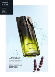 Catálogo Yanbal semana 44 Página 120