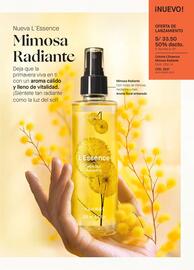 Catálogo Yanbal semana 44 Página 47