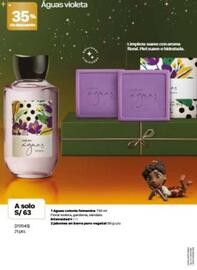 Catálogo Natura Página 29