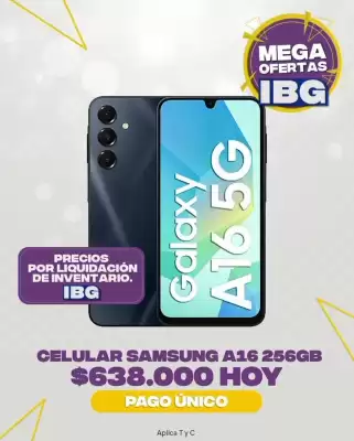 Catálogo IBG (válido hasta 15-11)