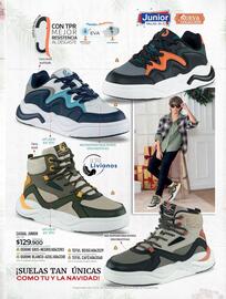 Catálogo Croydon Página 242