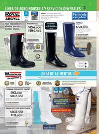 Catálogo Croydon Página 365