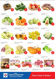 Last Chance flyer Page 2
