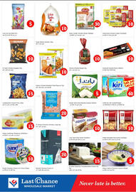 Last Chance flyer Page 6