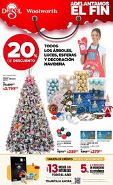 Folleto DelSol Página 6