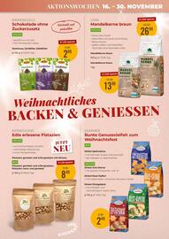 Martin Reformstark Flugblatt Seite 11