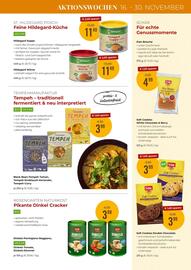 Martin Reformstark Flugblatt Seite 13