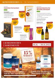 Martin Reformstark Flugblatt Seite 16