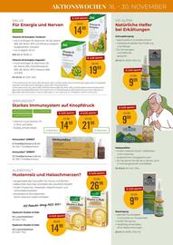 Martin Reformstark Flugblatt Seite 17