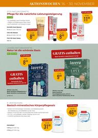 Martin Reformstark Flugblatt Seite 19