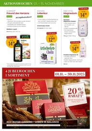 Martin Reformstark Flugblatt Seite 6