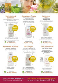 De Rode Pilaren folder Pagina 7