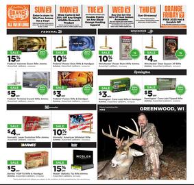 Fleet Farm weekly ad Page 3