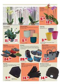 Volantino TuttoGiardino Pagina 3