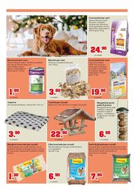 Volantino TuttoGiardino Pagina 6