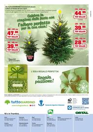 Volantino TuttoGiardino Pagina 8