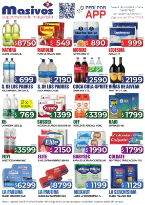 Catálogo Masivos (válido hasta 7-11)