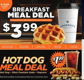 Fleet Farm weekly ad week 44 Page 29