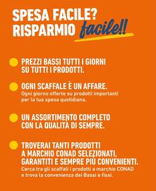 Volantino Spesa Facile Conad Pagina 2