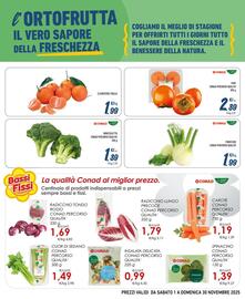 Volantino Spesa Facile Conad Pagina 3