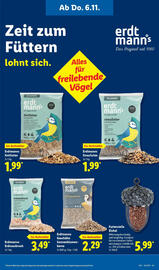 Lidl Prospekt woche 45 Seite 17