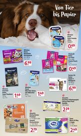 Rossmann Prospekt Seite 19