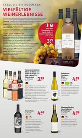 Rossmann Prospekt Seite 22