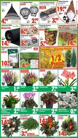 Wreesmann Prospekt woche 45 Seite 8