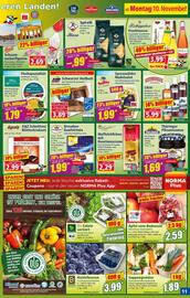 Norma Prospekt woche 46 Seite 12