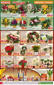 Norma Prospekt woche 46 Seite 15