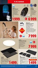 Lidl akciós újság hét 46 Oldal 13