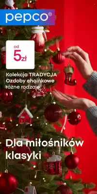 Pepco gazetka (ważność do 8-11)