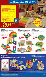 Lidl Flugblatt woche 45 Seite 21