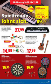 Lidl Flugblatt woche 45 Seite 29